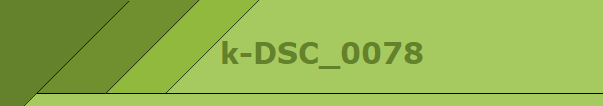 k-DSC_0078